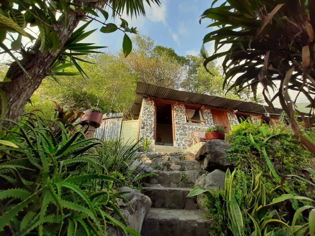 Hotel & Restaurante Arca De Noe Santa Cruz La Laguna Dış mekan fotoğraf
